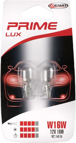 W16W Coppia Di Lampadine In Vetro Per Luci Auto 12V 16W W2,1X9,5D