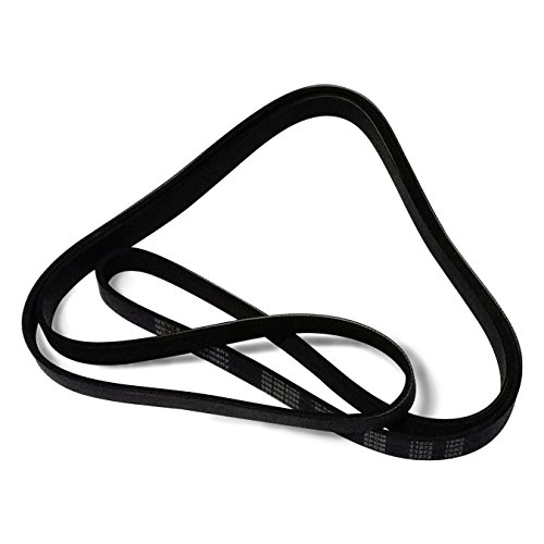 Meyle 050 006 1125 Cinghia Poly-V
