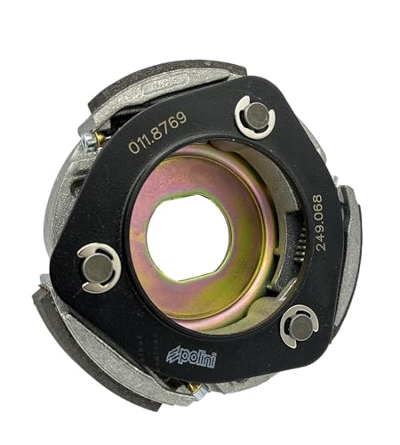 Frizione Maxi Speed Polini Piaggio 125 200 250 300 3G For Race D.134 Dna Scarabeo Runner Nexus Beverly Typhoon 125 200 250