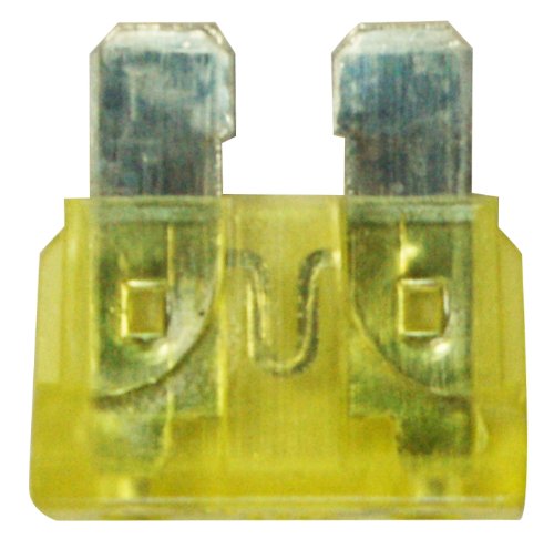 Cora 000120692 Fusibili Lamellari 20A, Scatola 100 Pezzi