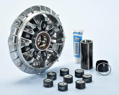 Variatore 241735 T Max 530 Ie Euro 4 Dal 2017