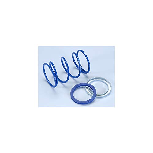 Molla Contr.Evo-Slider Piaggio 4,5