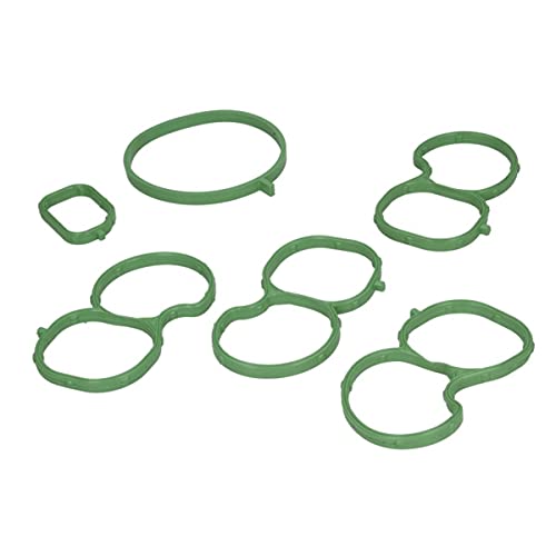 Reinz 11-40692-01 Kit Guarnizioni, Collettore Aspirazione
