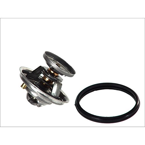 Calorstat Th5699.80J Termostato