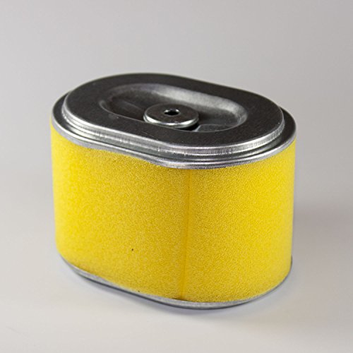 Filtro Aria Motore Honda Gx 160/Gx140/ Gx 200/ Gx 110/120/140/160 - 006765