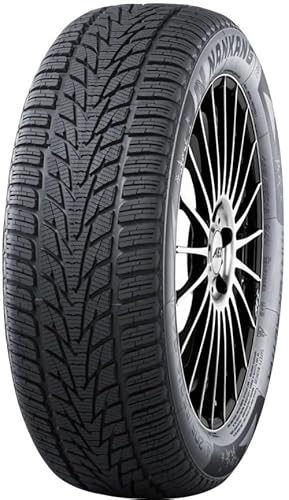 Nankang 255/35 Zr19 96W Sv-4 Xl Winter/Invierno