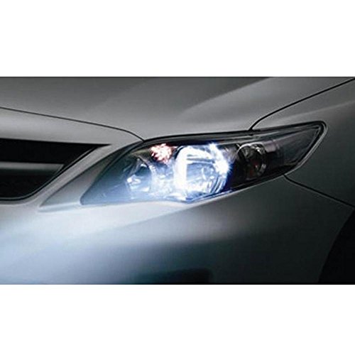 Asd Tech Amphidh9/6 Lampadina Hid H9 6000 K