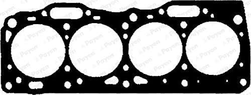 Payen Br620 Guarnizione Testata