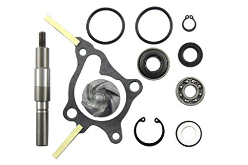 Reparaturkit Acqua Pompa Per , , Peut 250 Ccm