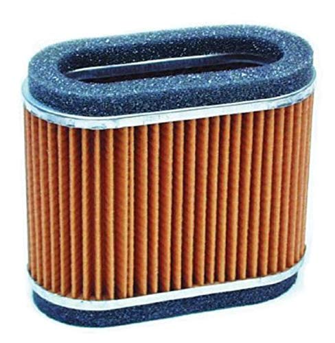 Hiflofiltro Hfa2906 Filtro