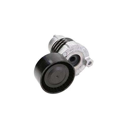 Ina 534 0590 10 Cinghia Di Distribuzione