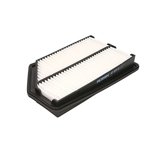 Filtron Filtro Dell' Aria, Ap104/8