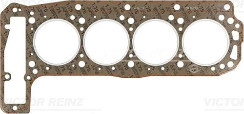 Reinz 61-25230-40 Guarnizione, Testata