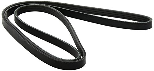 Ae Mvb1775R4 - Cinghia Poly-V