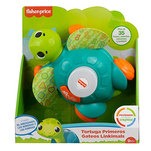 Fisher-Price- Lk Sea Turtle-Cs, Gxk31