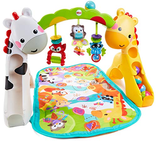 Fisher-Price Newborn-To-Toddler Play Gym, Imballaggio Sostenibile