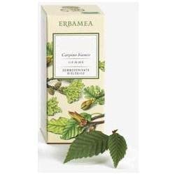 Erbamea Tilia Tormentosa Gemme Gemmoderivato