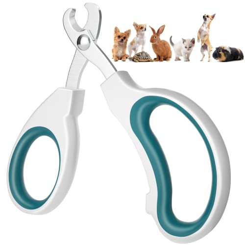 Tagliaunghie Gatto Realizzato In Acciaio Inossidabile, Taglio Netto, Senza Brandelli, Finitura A Specchio. Taglia Unghie Gattini Per Gatti, Gattini, C