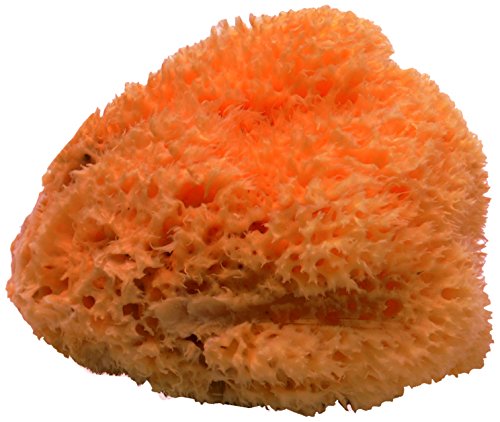 Gerson 20 A Spugna Naturale