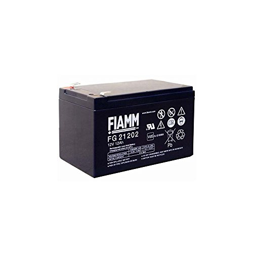 Fiamm Ic-Fg21202 - Batteria Al Piombo 12V 12Ah (Faston 6,3Mm)