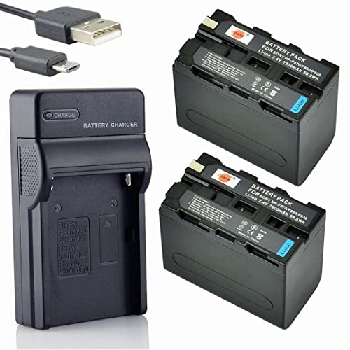 Dste Np-F970 Li-Ion Batteria (2-Pacco) E Caricabatterie Usb Compatibile Per Sony Ccd-Tr716 Ccd-Tr818 Ccd-Tr910 Ccd-Tr917 Ccd-Tr930