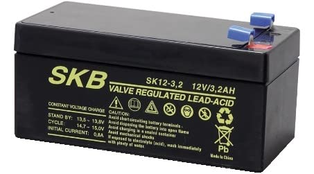 Batteria Al Piombo Ricaricabile Skb