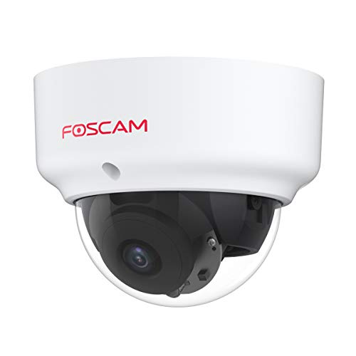 Foscam D2Ep Telecamera Ip Poe Esterno Hd 2Mp Infrarossi 20 Mt Antivandalico Ik10 Rilevamento Umano Intelligente, Compatibile Con Amazon Alexa