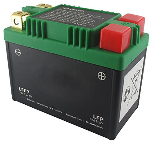 Greenstar 685420 - Batteria 12 V 10 A Elettrica