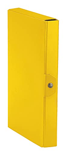 Esselte C24 Eurobox Cartella Per Progetti, 25 X 35 Cm, Dorso 4 Cm, Giallo, Confezione Da 1, 390324090