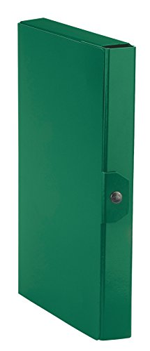 Esselte C24 Eurobox Cartella Per Progetti, 25 X 35 Cm, Dorso 4 Cm, Verde, Confezione Da 1, 390324180