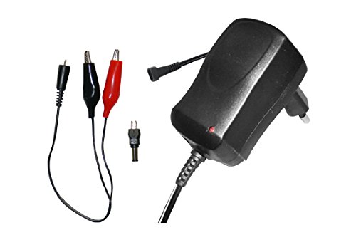 Caricabatterie Per Batterie Al Piombo 12V 1000 Mah Corrente Costante