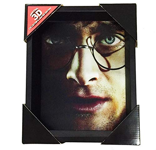 Pyramid Cuadro 3D Harry Potter Voldemort