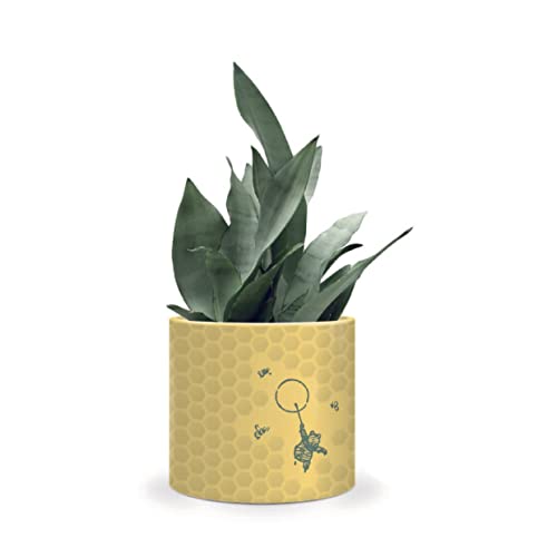 Half Moon Bay Disney Classic - Vaso Per Piante - Winnie The Pooh (Nido Di Miele) - Disney