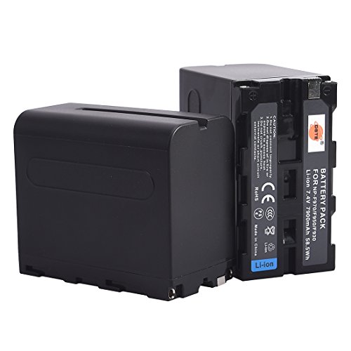 Dste 2X Np-F970 Batteria Di Ricambio Compatibile Con Np-F930 Np-F950 Np-F960 E Sony Ccd-Sc55 Ccd-Sc65 Ccd-Tr67 Ccd-Tr76 Ccd-Tr87 Ccd-Tr516 Ccd-Tr5555