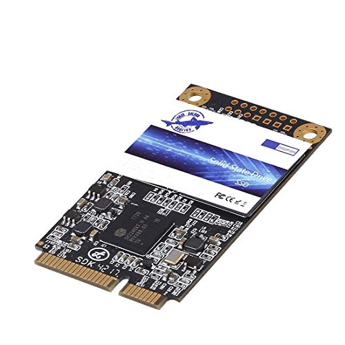 Dogfish Msata Ssd 500Gb Internal Solid State Drive Mini Sata Ssd Disk (Msata 500Gb)