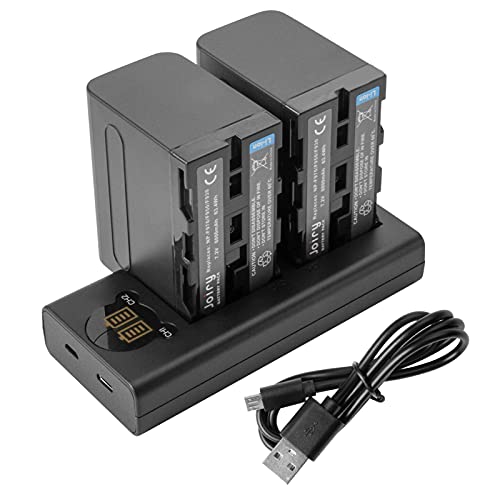 2 X Np-F970, Np-F960, Np-F930, Np-F950 Batteria Di Ricambio E Doppio Caricatore Compatibile Con Sony Dcr-Vx2100, Dsr-Pd150, Dsr-Pd170, Fdr-Ax1, Hdr-Ax