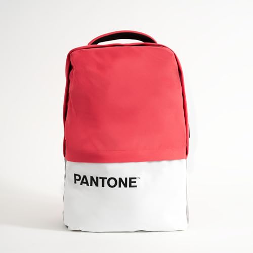 Celly Pantone Zaino Porta Pc 15.6, Zaino Uomo E Donna Con Usb Ricarica, Comparti Protettivi, Comodo E Capiente Per Lavoro, Viaggio E Scuola, Rosa