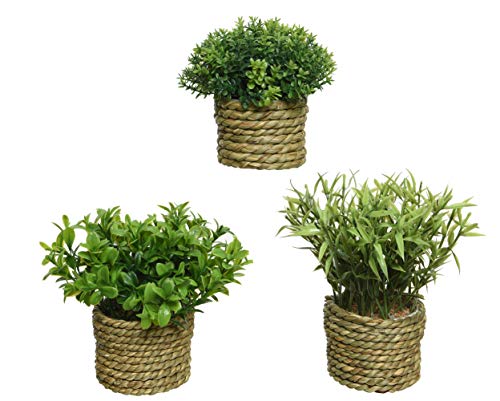 Kaemingk Agricola Pe Grass Plant In Pot Plants Fake 3Ass3 D Dia16X13Cm