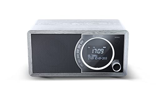 Sharp Dr-450(Gr) - Radio Digitale Portatile Con Dab/Dab+/Fm, Bluetooth 4.2, Funzione Sveglia/Sonno E Snooze, Effetto Legno, Colore: Grigio