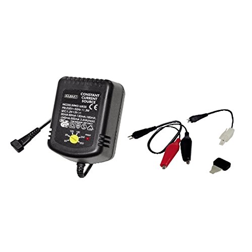 Caricabatterie Universale Per Pacchi Batteria Ni-Cd/Ni-Mh Con Adattatori