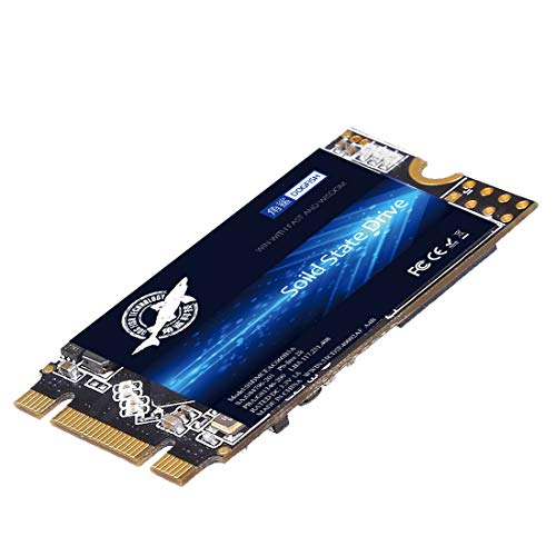 Ssd 250 Gb M.2 2242 Dogfish Sólido Height Pc Unità A Stato Solido Integrata Interno Mlc Desktop Laptop Hard Drive Disk M2(250Gb M.2 2242)
