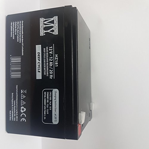 Batteria Al Piombo Ciclica 12V 12Ah Deep Cycle Lead Acid Battery Con Faston