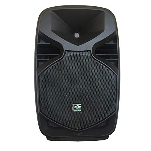 Cassa Attiva Amplificata Diffusore (200 Watt, Subwoofer Da 25 Cm, Xlr, Rca, Abs, Mic In)