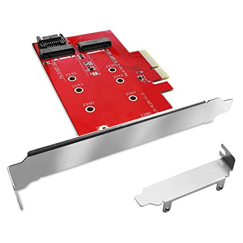 Diskmaster Dual M.2/Nvme E M.2/Sata. Scheda Interna Per Ssd M.2/Nvme O M.2/Sata Su Slot Pci-Express 4X, Su Pc Ssd Di Tipo M.2/Nvme O M.2/Sata Con Slot