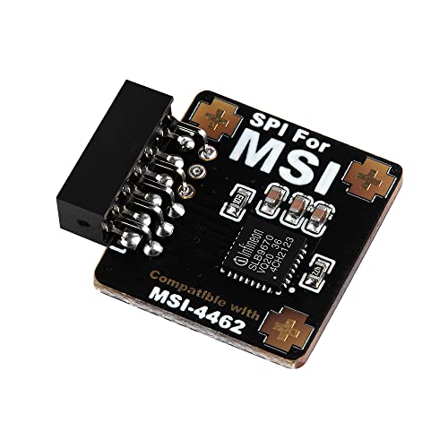 Newhail Modulo Tpm2.0 Tpm Spi 12 Pin Modulo Con Infineon Slb 9670 Per Scheda Madre Msi Compatibile Con Tpm2.0 (Ms-4462)