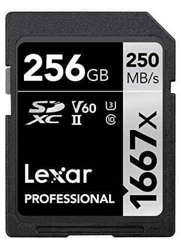 Lexar Professional 1667X Scheda Di Memoria Sdxc 256 Gb, Uhs-Ii, Fino A 250 Mb/S Di Lettura, Class 10, U3, V60, Per Fotografi Professionisti, Videograf