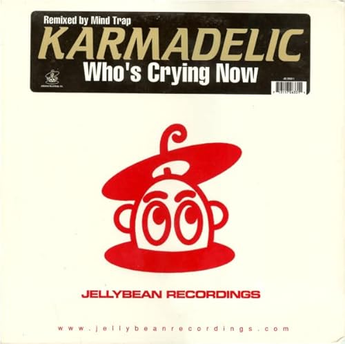 Karmadelic Ft Sandy B/Who'S Crying Now