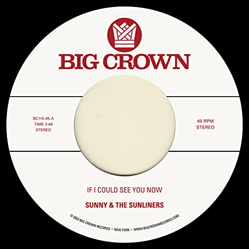 If I Could See You Now [Vinyl]
