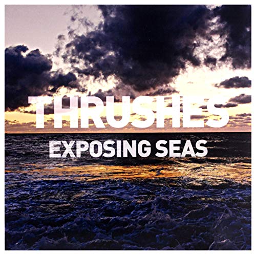 Exposing Seas