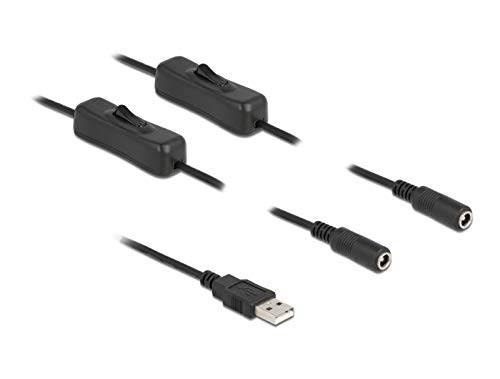 Delock Cable Usb Typ-A Macho A 2 X Dc 5,5 X 2,1 Mm Hembra 1 M